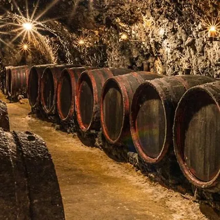 Campeggio Sudkovo - Barrel Glamping Mala Trna