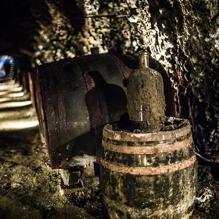 Sudkovo - Barrel Glamping Camping